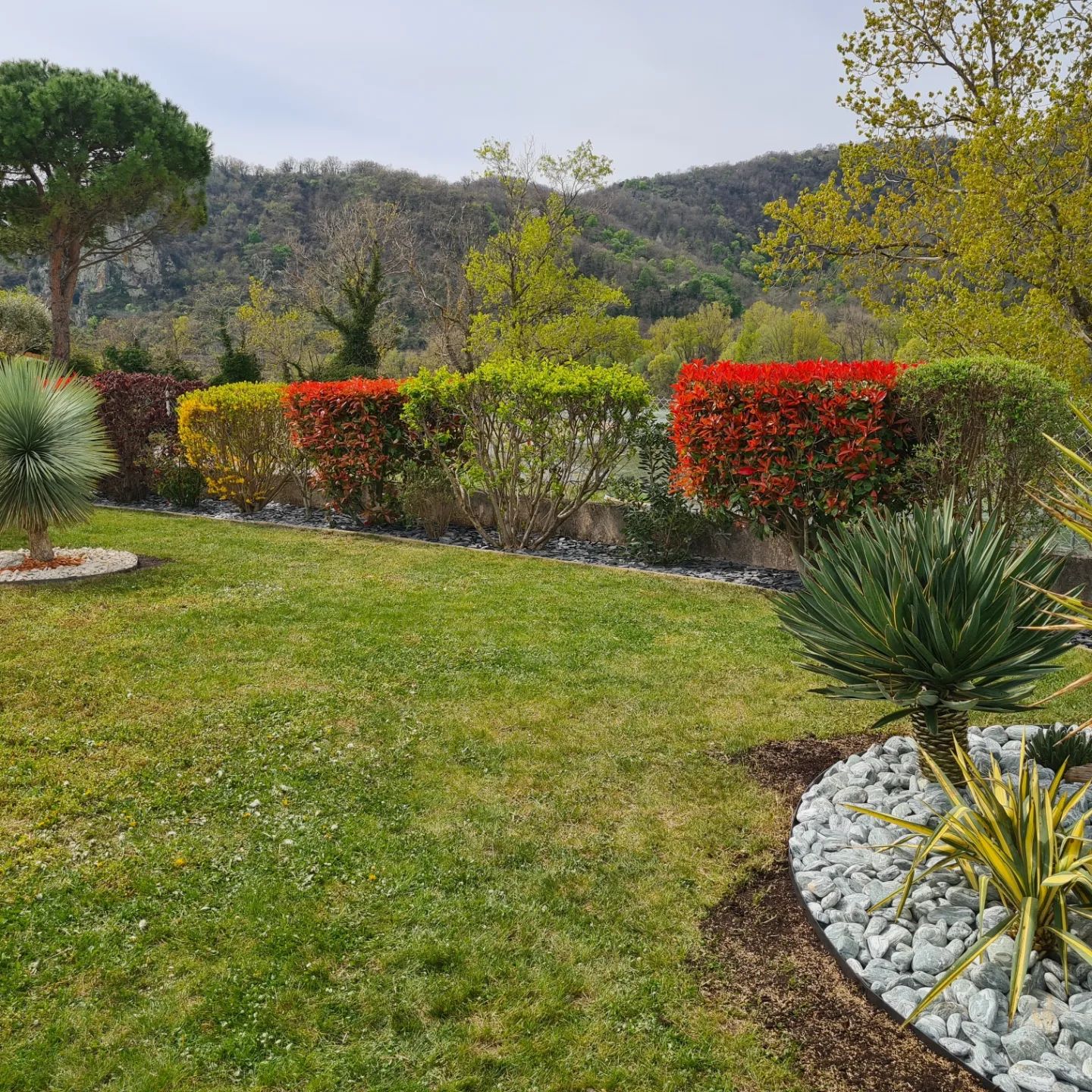 Réfection de Massif et Aménagement Paysager undefined