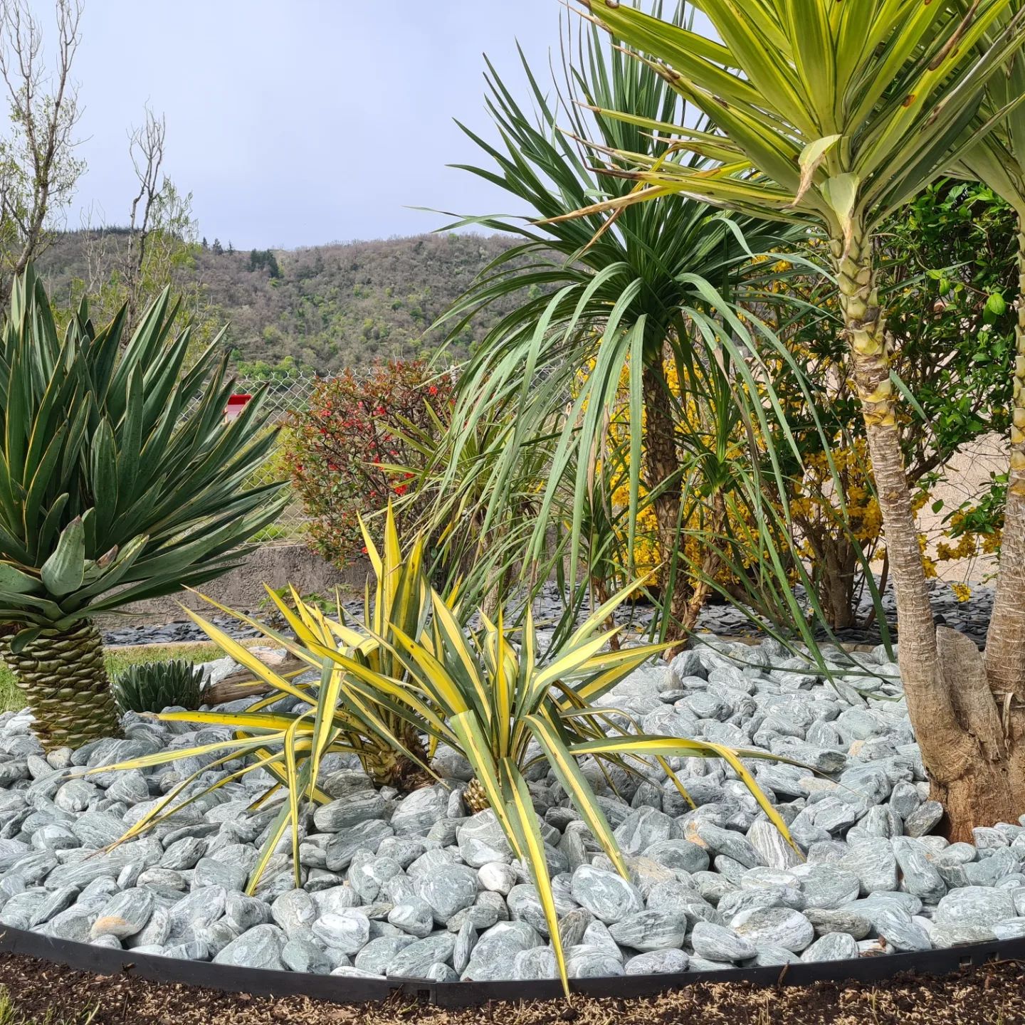 Réfection de Massif et Aménagement Paysager